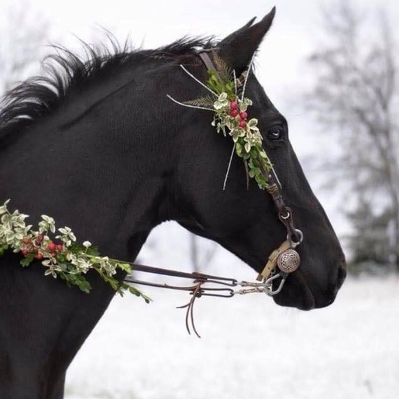 Meet your Posher, Blenda - Picture 2 of 2